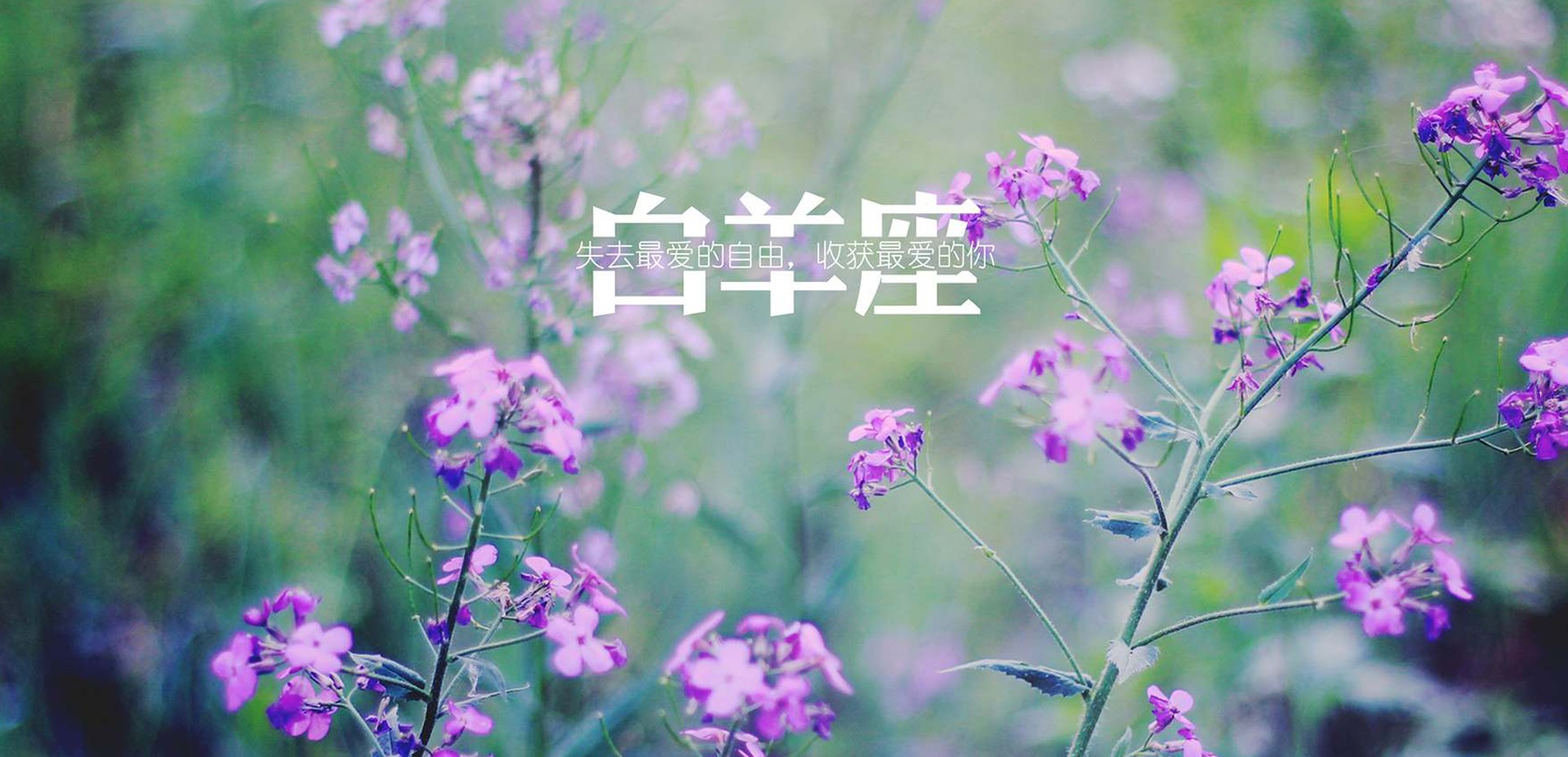 新年新香水,12星座的香囊颜色