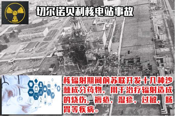 维生素之王到底是什么水果,维生素之王到底是什么