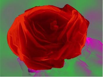 石墨烯进入体内会怎样,石墨烯能被造出来吗