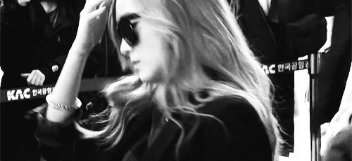 女明星把它宠上了天，一年四季走哪儿带它！