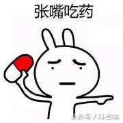 胆小的别进!青岛的海虫子,可以入药可以吃,鲍鱼也在内!