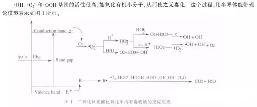 关于光触媒你所不知道的事,关于维生素你不知道的事