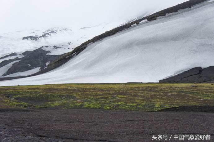 南极继续变暖会如何,南极出现绿雪有什么影响