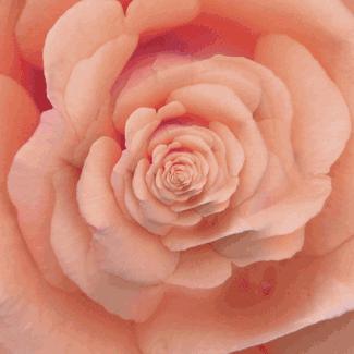 失眠动态图片看了就有睡意,治失眠的图片五秒入睡