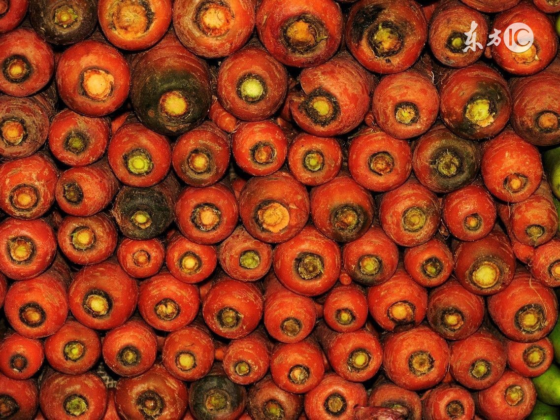 一带一路促进全球化，吃货是最大受益者