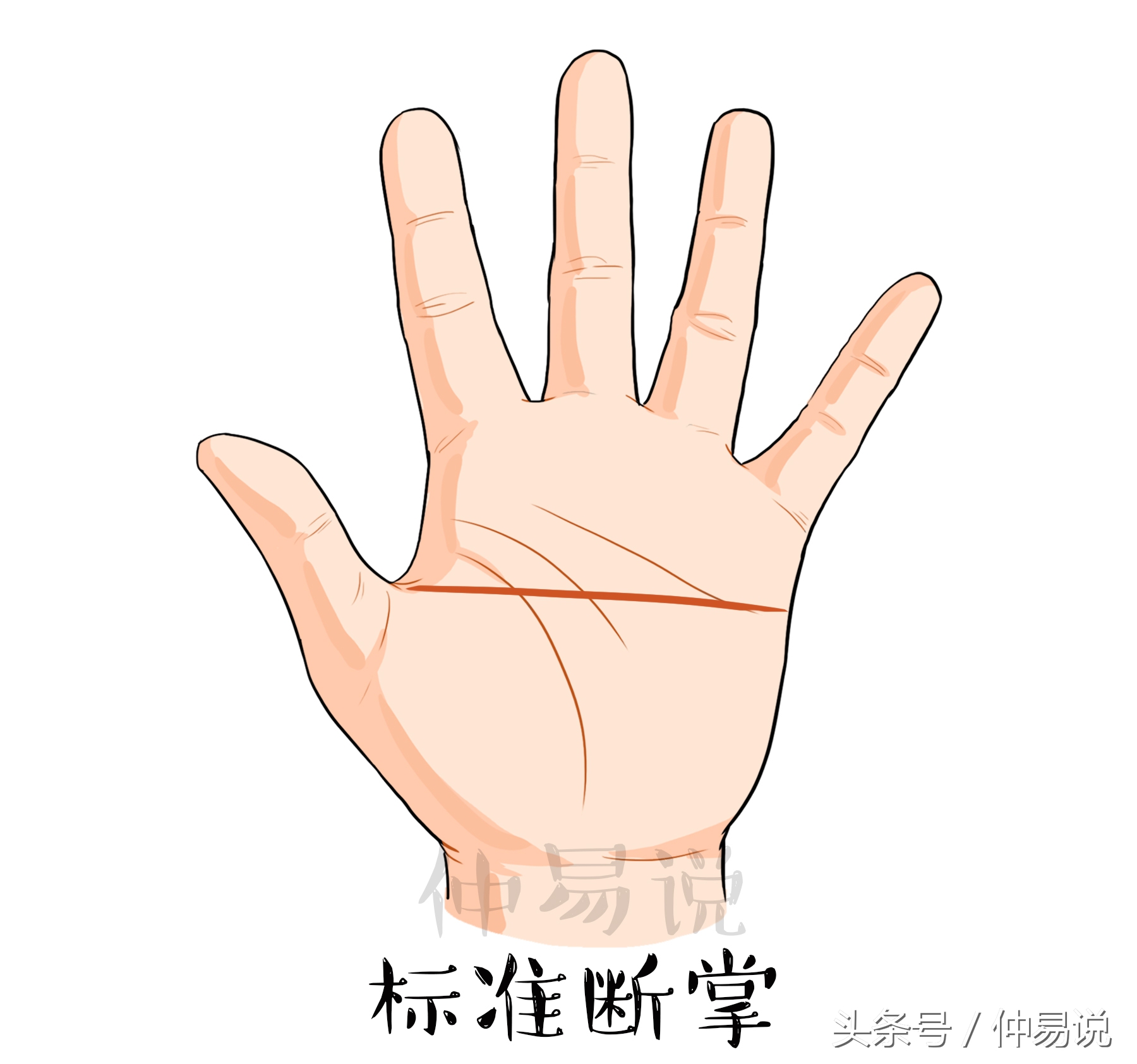 断掌的人十大特征,断掌是从头到尾还是从中间开始