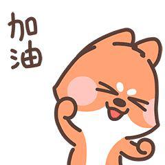 请收下我的膝盖完整版,请收下我的膝盖