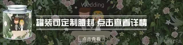 十种最漂亮的茶包,十种最好看的茶包