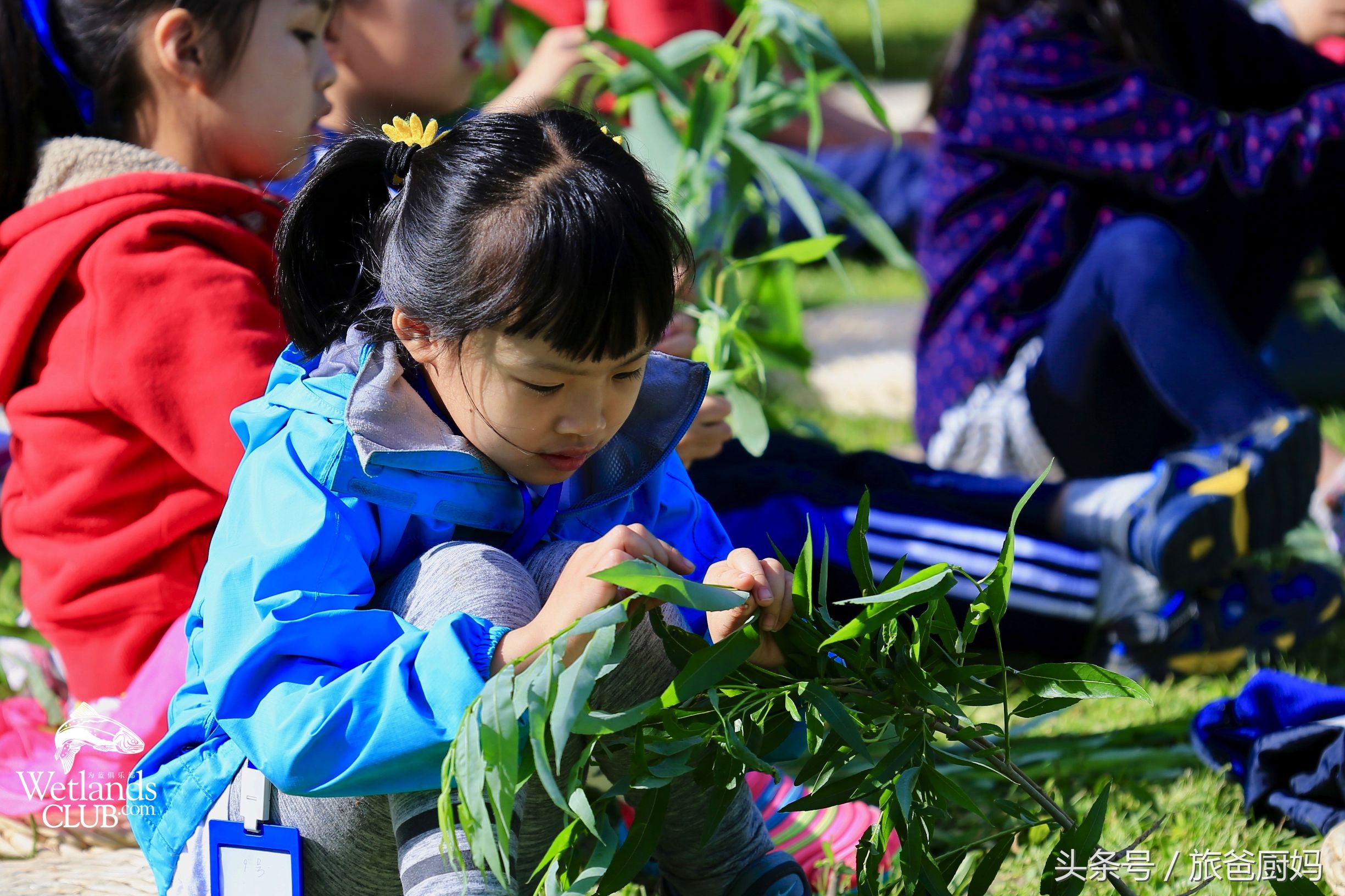 这些植物千万别让孩子靠近,适合小孩卧室养的植物