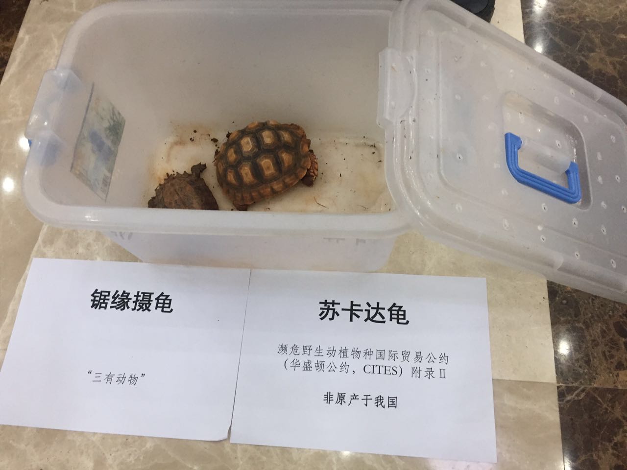 男士海外代购,男士国外代购