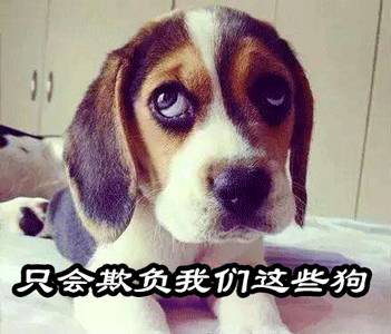 金玉良言经典语,粤语有意义的语录