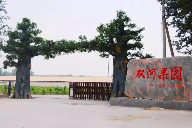 北京已开园的樱桃园,2024樱桃园开放时间