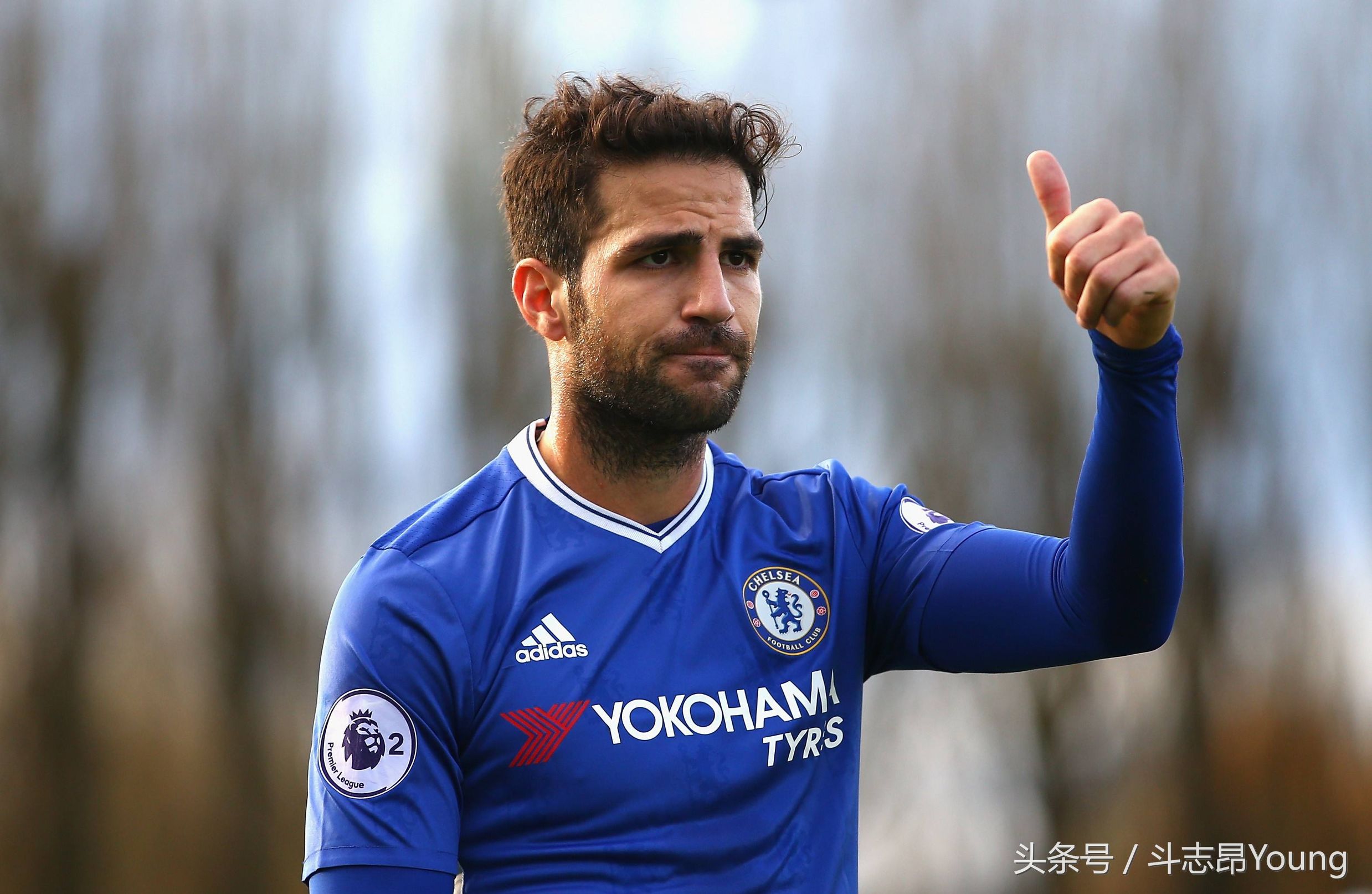 瓒崇悆瑙嗙嚎,瓒崇悆鏂拌閲庣涓冩湡