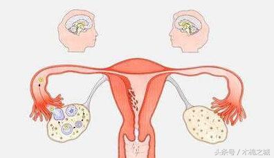 出现这几个症状，十有八九是要排卵了，别错过！