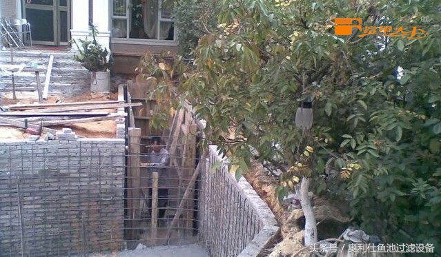 大型鱼池建造过程及施工方法,省钱鱼池建造过程及施工方法