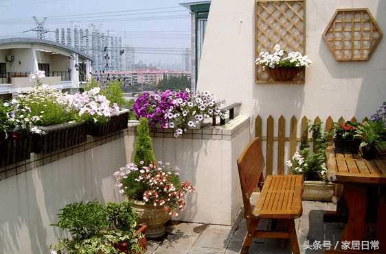 阳台养绿植有风水禁忌吗,阳台养绿植多了会不会影响风水