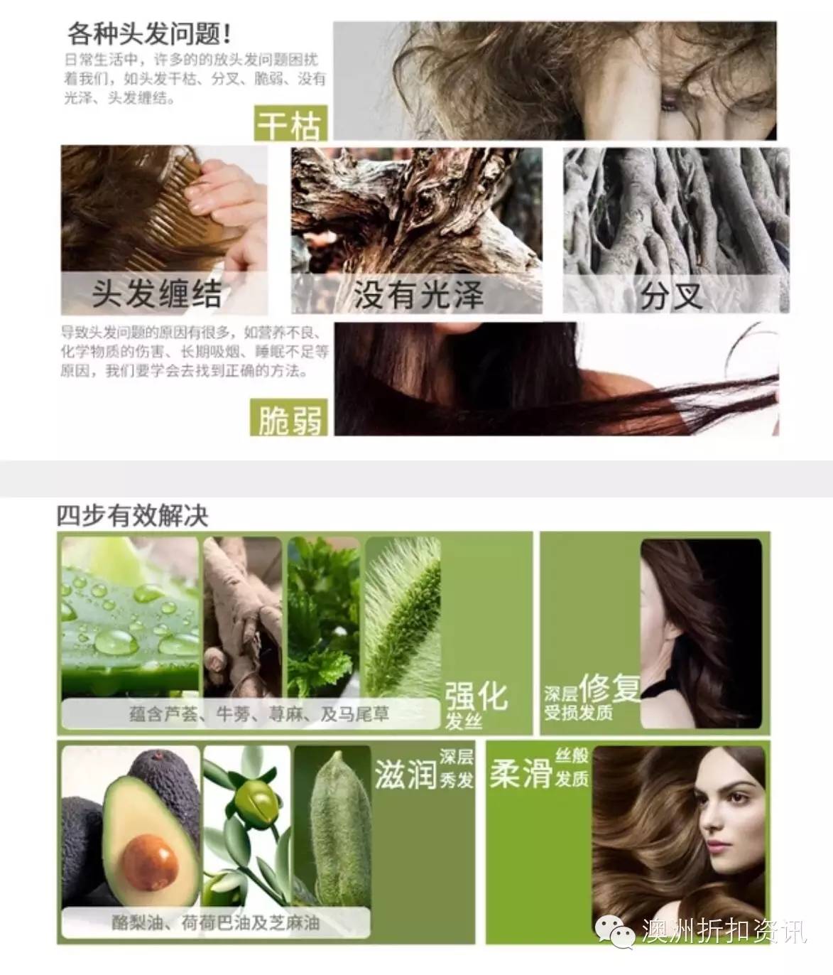 818洗发水直播间,澳洲洗发水99