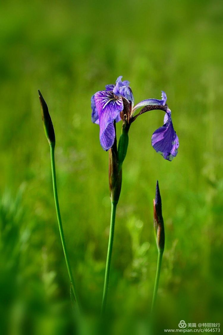 走过四季夏天最美,走过春夏美丽的秋冬
