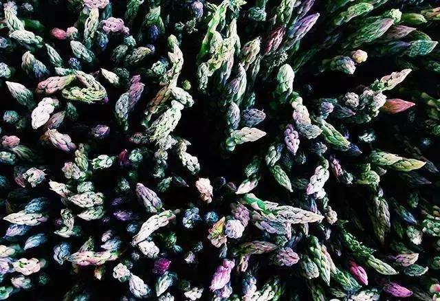 玩转手机摄影轻松拍出大片儿,家中就能拍出大片手机摄影