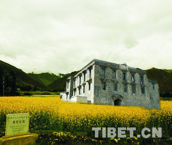 老西藏四讲四爱,四讲四爱西藏老人