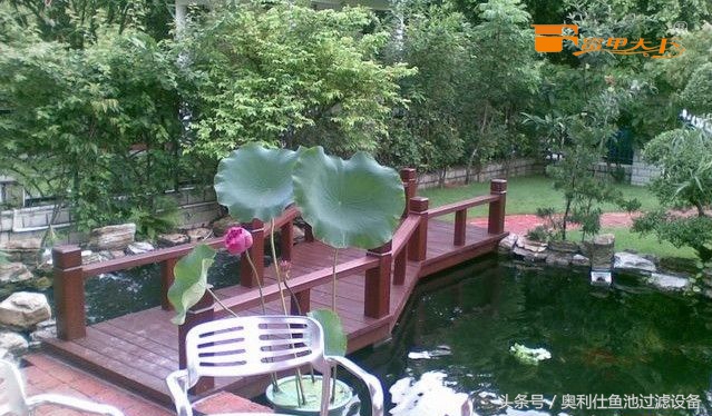 大型鱼池建造过程及施工方法,省钱鱼池建造过程及施工方法