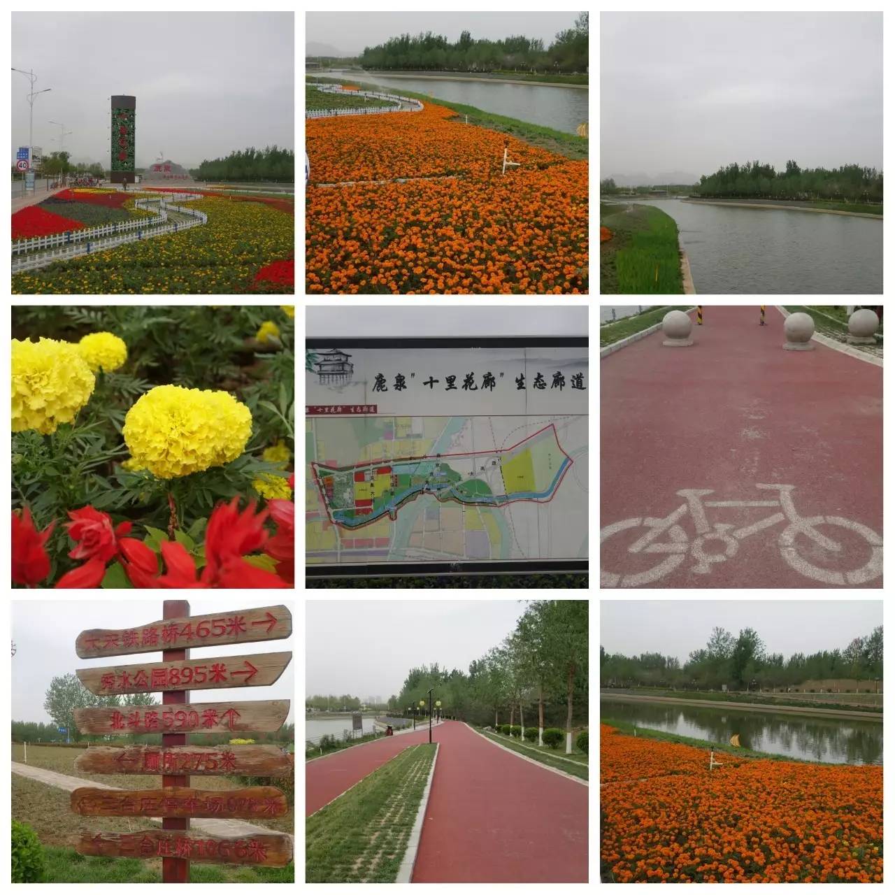 我用30万步,走遍石家庄公园