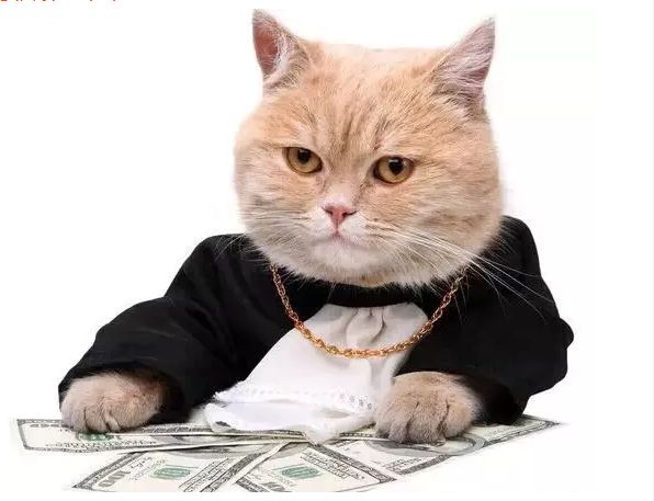 财务saas系统排名,财务saas价格