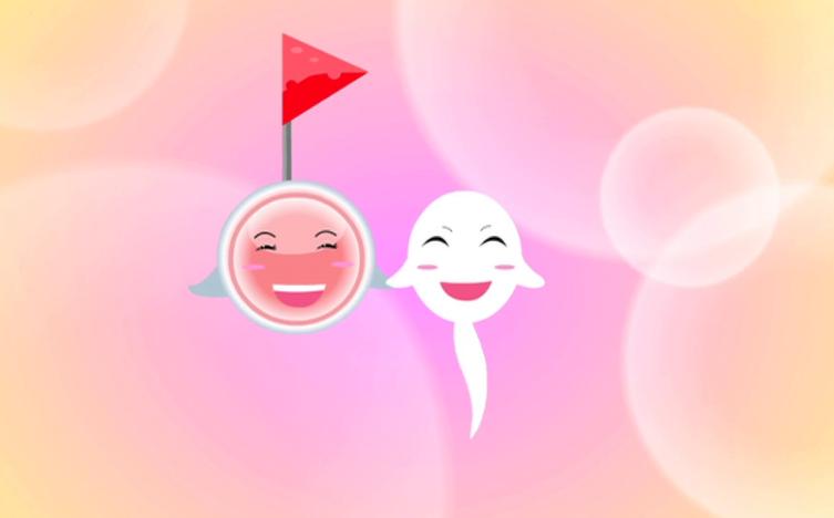 孕检6-8周检查哪些项目,19周孕检做什么检查项目