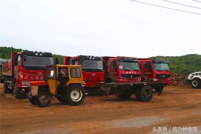 走进森林空气格外清新,走进天然氧吧呼吸新鲜空气