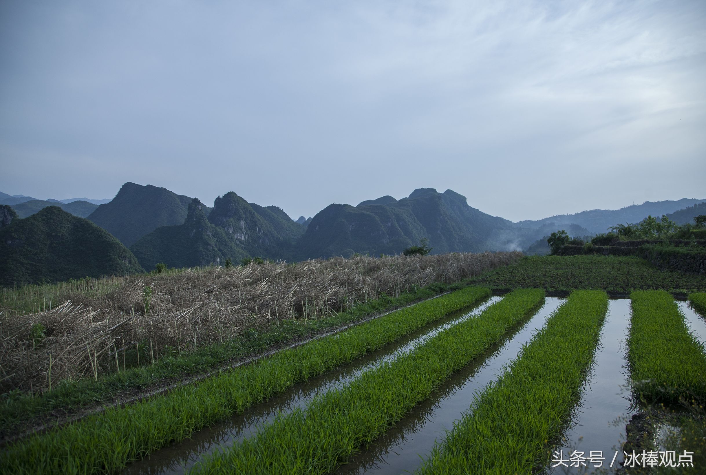 藏在贵州大山深处的惊艳之美,隐藏在贵州大山里的古寨