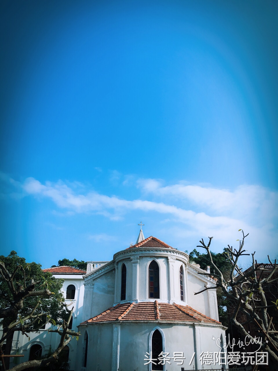 美丽的鼓浪屿旅游,德阳去厦门旅游攻略