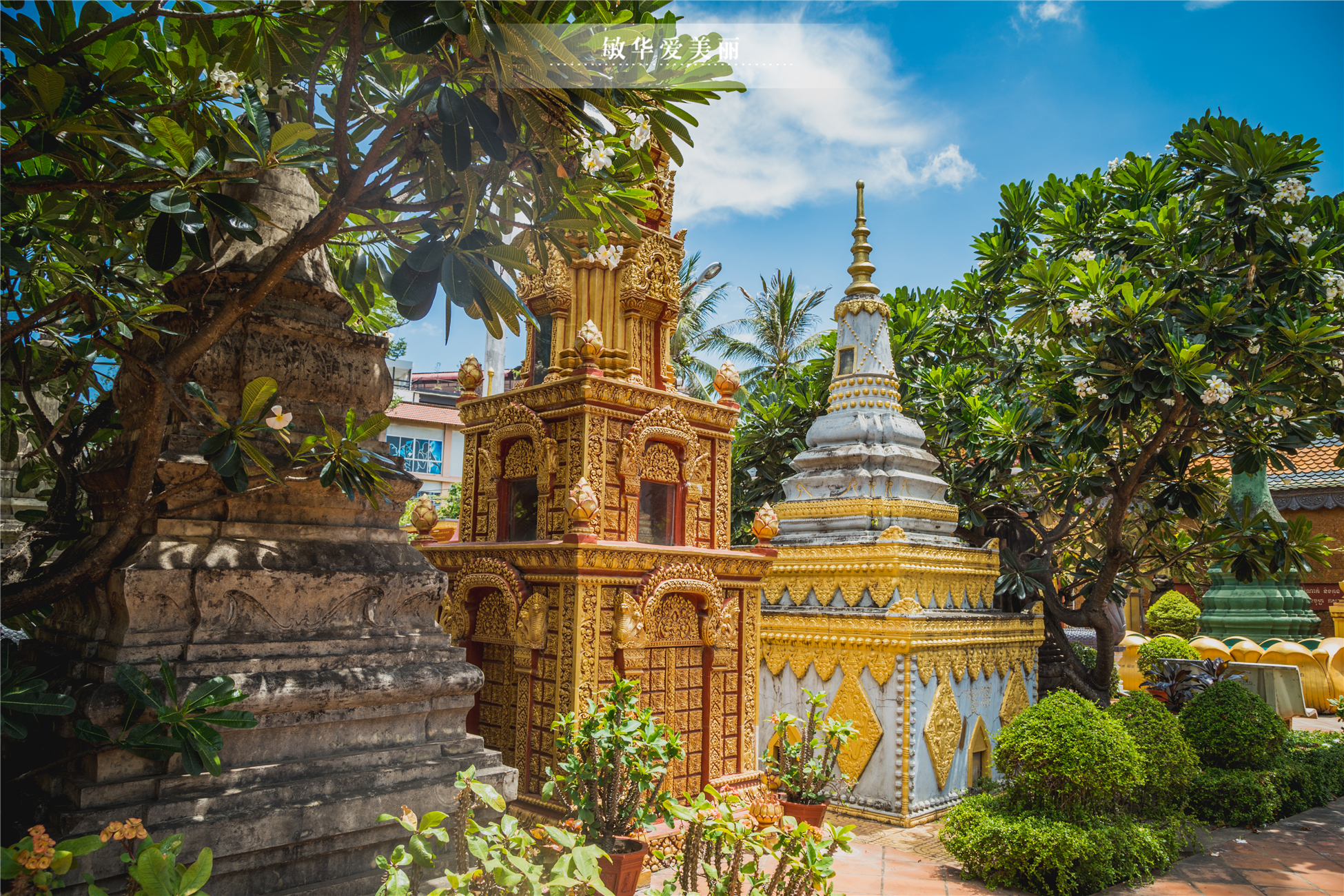 柬埔寨最厉害的寺庙叫什么,柬埔寨最灵的寺庙