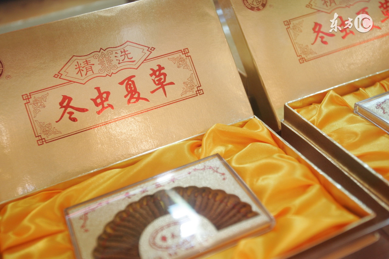 长期服冬虫夏草会上火吗,冬虫夏草长期喝会上火吗