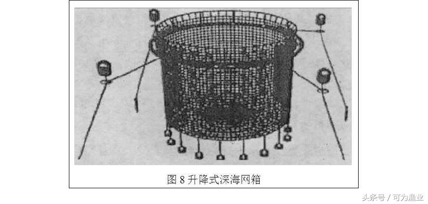 深海网箱养殖的成本与利润,深海养殖网箱一个设备多少钱