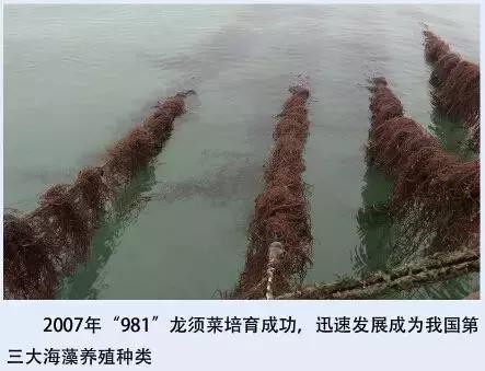 中国海大，究竟是中国哪所大学？致敬我的青春、我的母校！