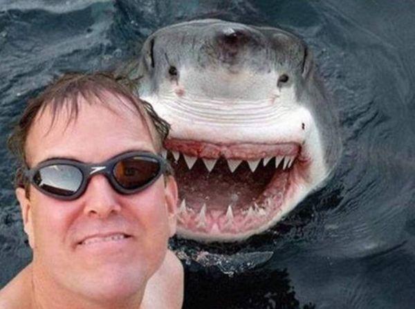 异星觉醒精彩部分,异星觉醒评分