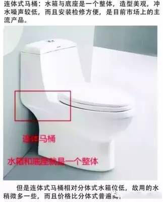 热门话题马桶,有关马桶的话题
