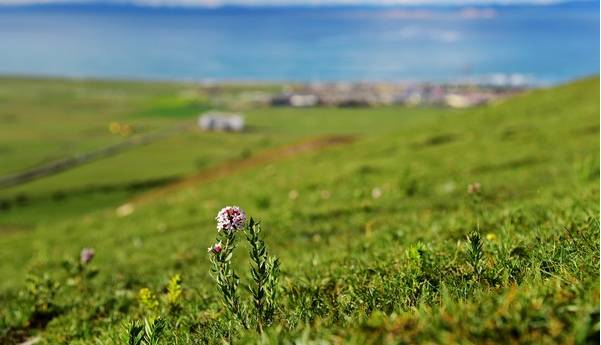 北京到青海自驾游最佳路线,北京至青海自驾游攻略