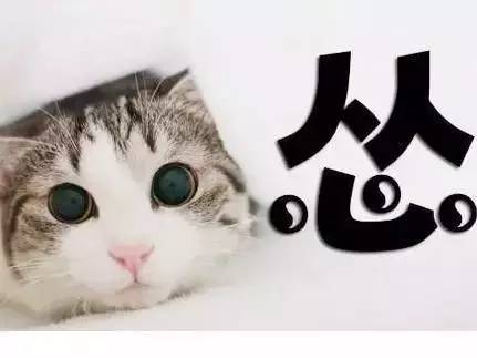 如何正确保护狗不被抓,抓狗的好方法