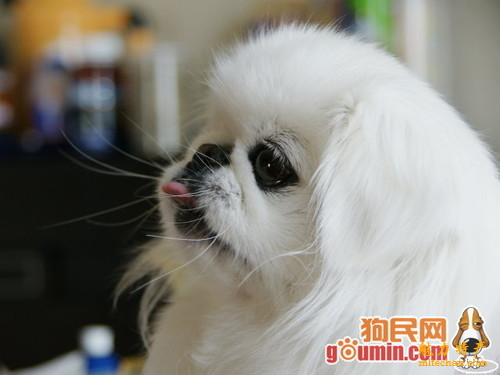 北京特产简笔画,北京特产一览表