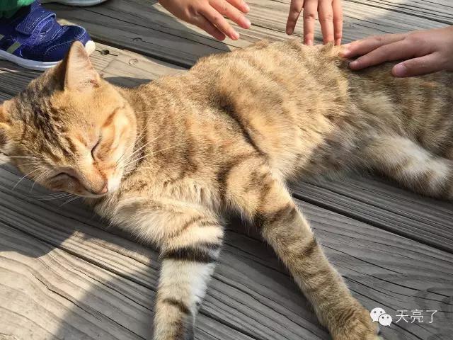 垦丁县,垦丁海边在哪里