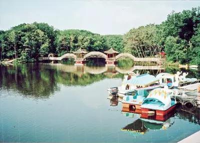 perfect完美,perfect完美抖音团购