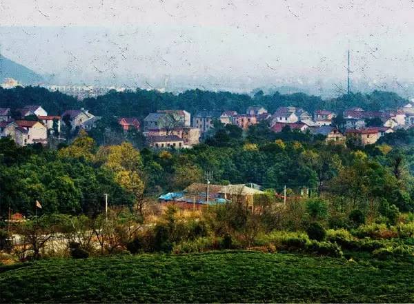 原力觉醒的瞬间,原力觉醒给了我们什么启示