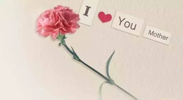 母亲节送21朵康乃馨什么意思,母亲节为什么要送康乃馨