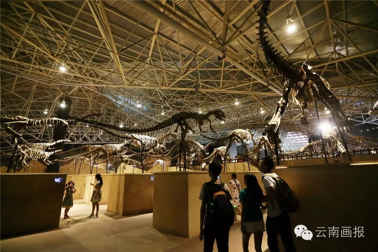 云南最值得去的地方排行榜第一名,云南哪些方面世界第一