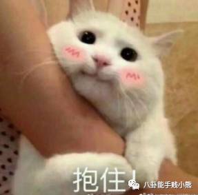 花儿与少年同款书包,花儿与少年同款劳力士