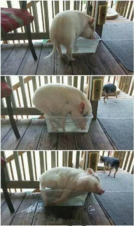 高温天气郑州,郑州高温哪里避暑