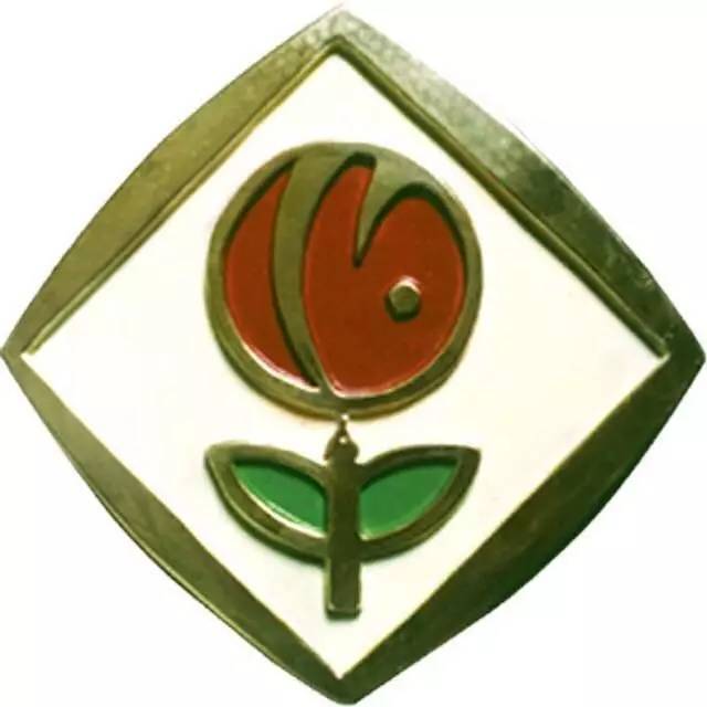 走近中学广州十六中篇丨至真教育,十六中不打“疲劳战”不做“书呆子”