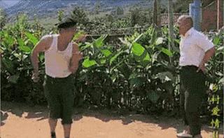 停动训练法害死人,停练是什么意思