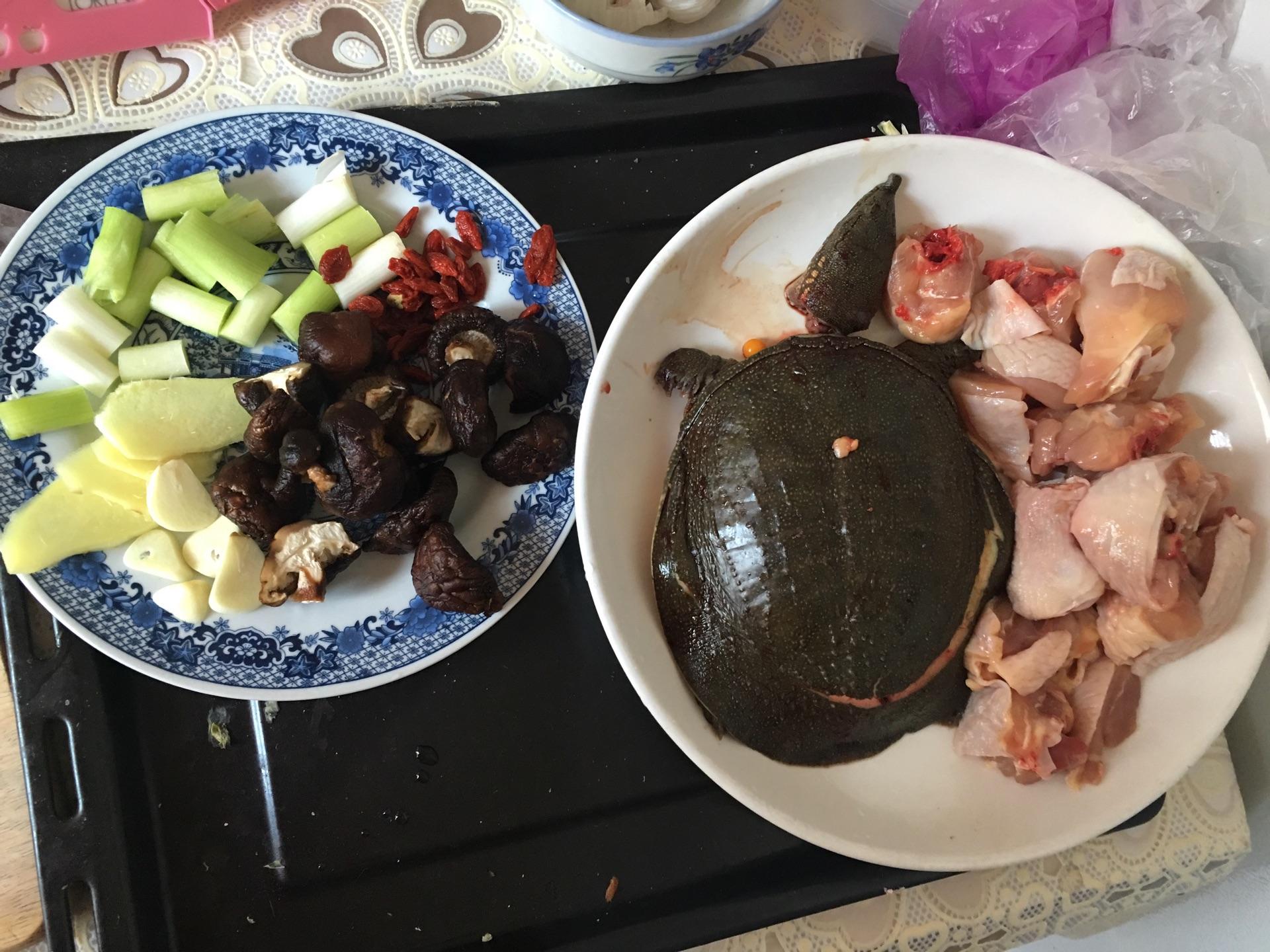 甲鱼汤的做法放什么药材,甲鱼汤的做法小孩能喝吗